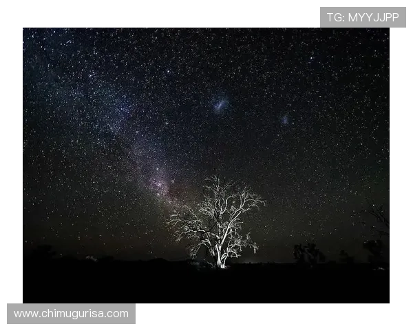 星空官方网站入口app下载适用设备指南,满足不同用户的多样需求 星空官方网站入口app下载适用设备指南,满足不同用户的多样需求