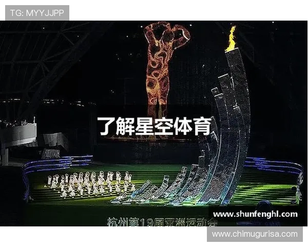 星空体育官方平台官网入天：星空体育官网入口的安全性与使用指南详解