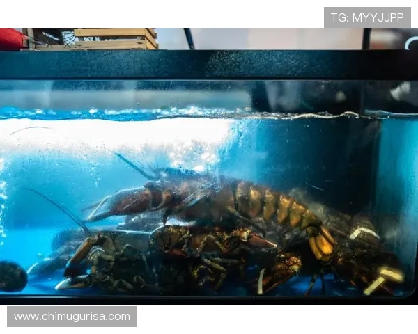 博鱼官网首页全面介绍与导航指南,助你快捷找到体育游戏与娱乐平台入口 博鱼官网首页全面介绍与导航指南,助你快捷找到体育游戏与娱乐平台入口