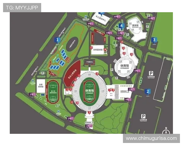 星空体育网页版下载安装流程详解，让你迅速开启体育狂欢